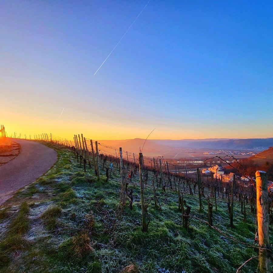 Ferienwohnung An Der Mosel Konz Exterior foto
